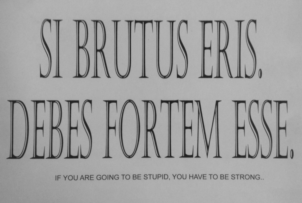 if-you-re-going-to-be-stupid-you-have-to-be-strong-renarts-design